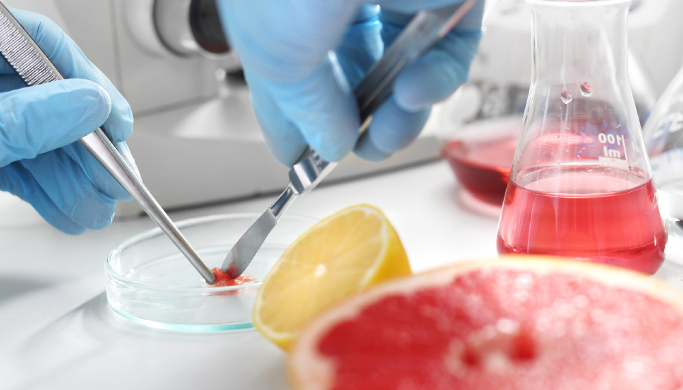 A qui faire appel pour un audit en hygiène alimentaire à Lyon ?